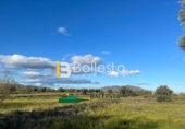 Rural estate for sale in Huércal-Overa ref: TR48498 photo