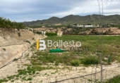 Terreny no urbanitzable en venda a Huércal-Overa ref.: TR45756 foto