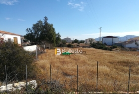 Foto 13