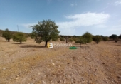 Terreny no urbanitzable en venda a Huércal-Overa ref.: TR57286 foto