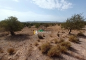 Terreny no urbanitzable en venda a Huércal-Overa ref.: TR57286 foto