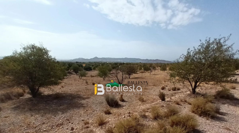 Almería - Huércal-Overa - 17919m2