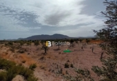 Terreny no urbanitzable en venda a Huércal-Overa ref.: TR57286 foto