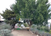 Masia amb terreny en venda a Huércal-Overa ref.: TR68767 foto