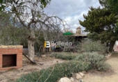 Masia amb terreny en venda a Huércal-Overa ref.: TR68767 foto