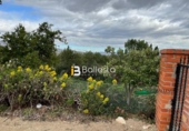 Masia amb terreny en venda a Huércal-Overa ref.: TR68767 foto