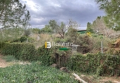 Masia amb terreny en venda a Huércal-Overa ref.: TR68767 foto