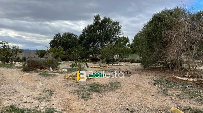 Almería - San Francisco - 20000m2