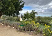 Masia amb terreny en venda a Huércal-Overa ref.: TR68767 foto