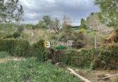 Masia amb terreny en venda a Huércal-Overa ref.: TR68767 foto