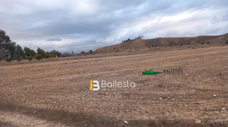 Almería - Huércal-Overa - 15089m2