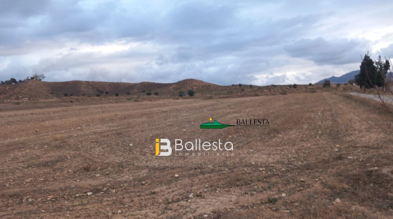 Almería - Huércal-Overa - 15089m2
