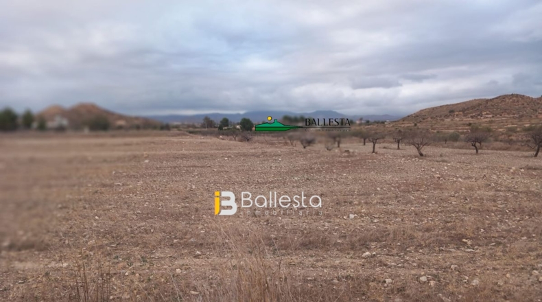 Almería - Huércal-Overa - 15089m2