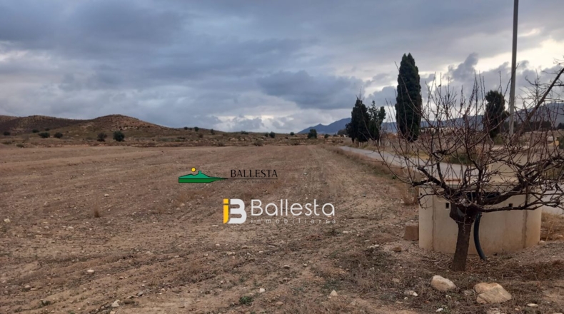 Almería - Huércal-Overa - 15089m2