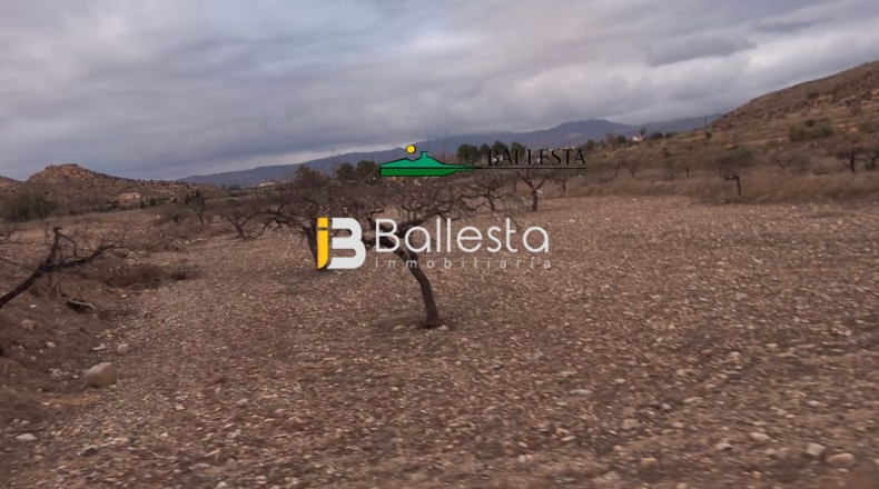 Almería - Huércal-Overa - 15089m2