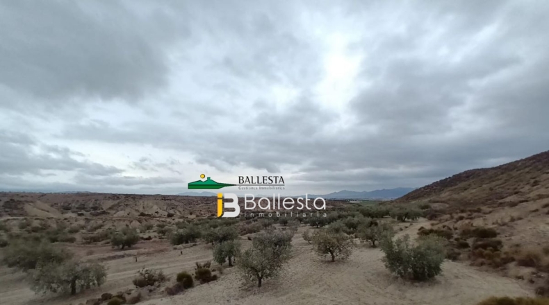 Almería - La Alfoquia - 59499m2