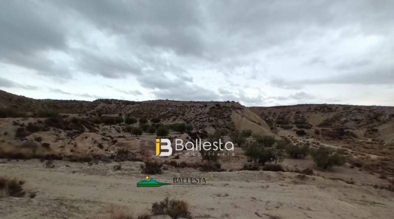 Almería - La Alfoquia - 59499m2