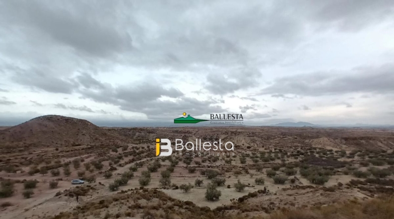 Almería - La Alfoquia - 59499m2