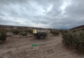 Terreny no urbanitzable en venda a Zurgena ref.: TR69709 foto