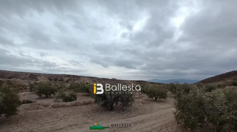 Almería - La Alfoquia - 59499m2