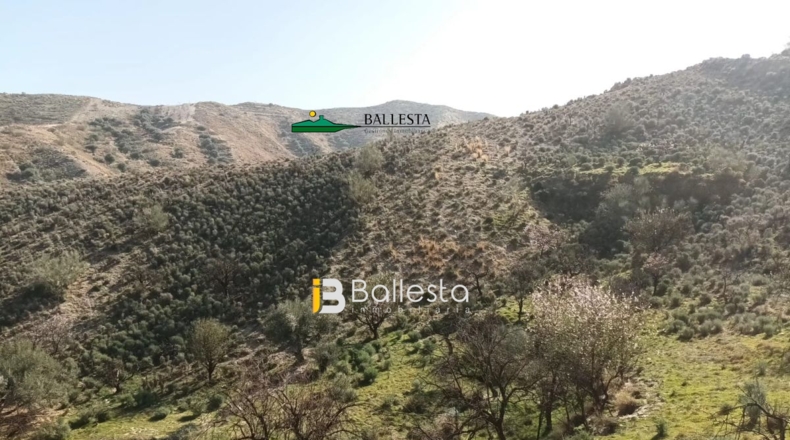 Almería - El Arroyo Aceituno - 5683m2