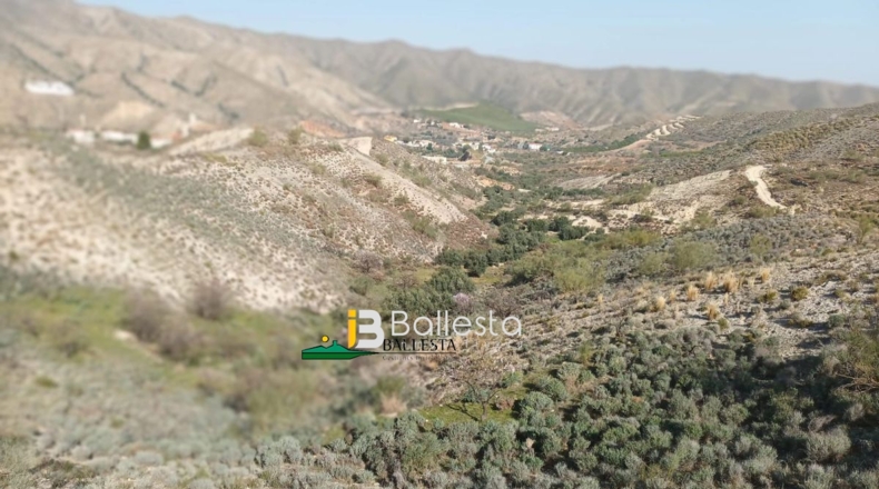 Almería - El Arroyo Aceituno - 5683m2