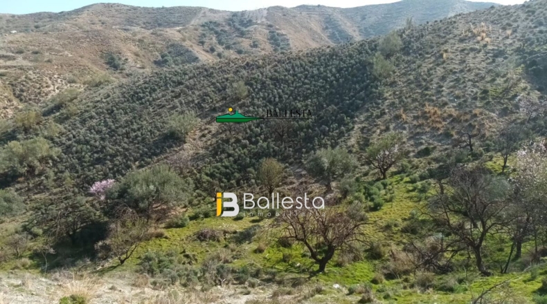 Almería - El Arroyo Aceituno - 5683m2