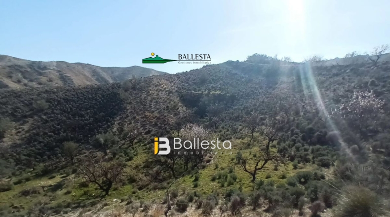 Almería - El Arroyo Aceituno - 5683m2