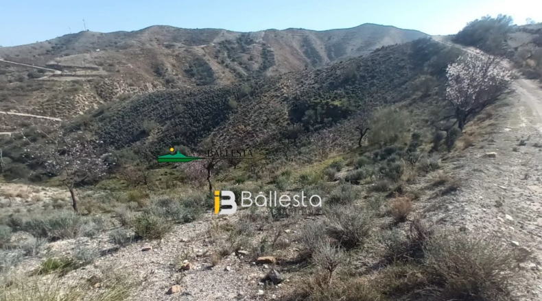 Almería - El Arroyo Aceituno - 6820m2