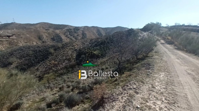 Almería - El Arroyo Aceituno - 6820m2