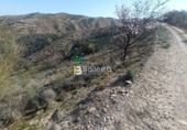 Terreno no urbanizable en venta en Cantoria ref: TR73025 foto