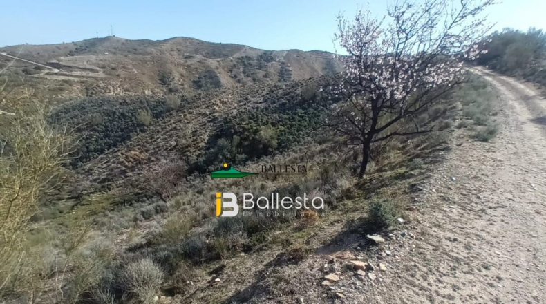 Almería - El Arroyo Aceituno - 6820m2