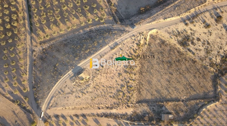 Almería - Huércal-Overa - 10153m2