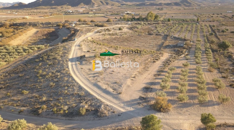 Almería - Huércal-Overa - 10153m2