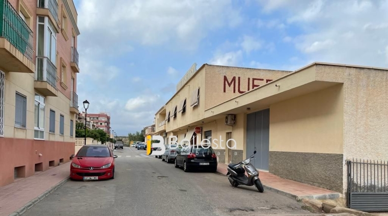 Almería - Huércal-Overa - 332m2