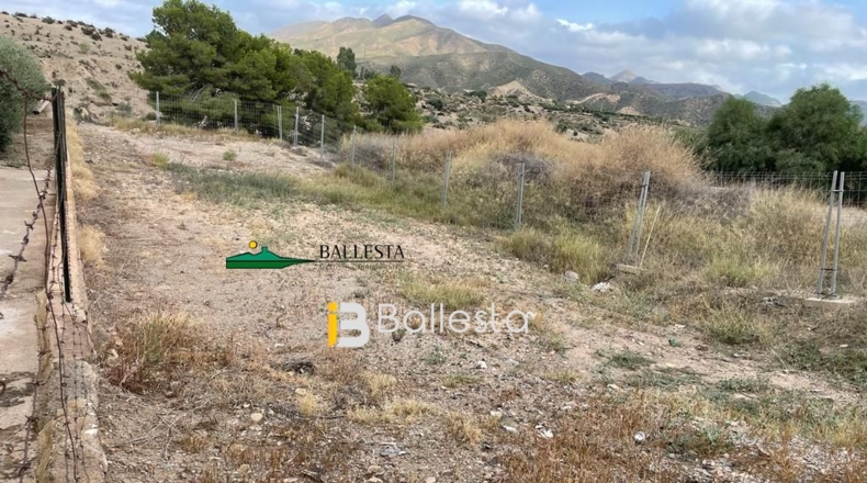 Almería - Huércal-Overa - 332m2