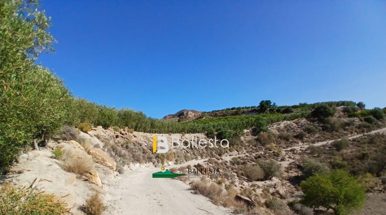 Almería - Lubrín - 50000m2