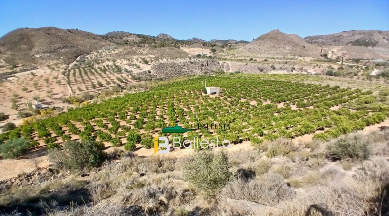 Almería - Lubrín - 50000m2