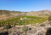 Terreny no urbanitzable en venda a la España, Lubrín, ref.: TR252723 foto