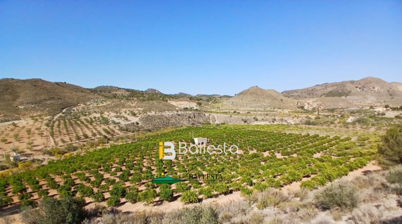 Almería - Lubrín - 50000m2