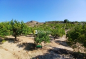 Terreny no urbanitzable en venda a la España, Lubrín, ref.: TR252723 foto
