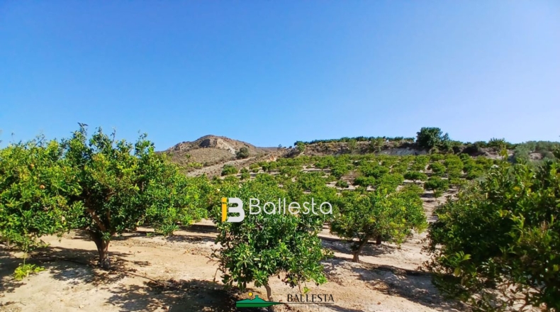 Almería - Lubrín - 50000m2