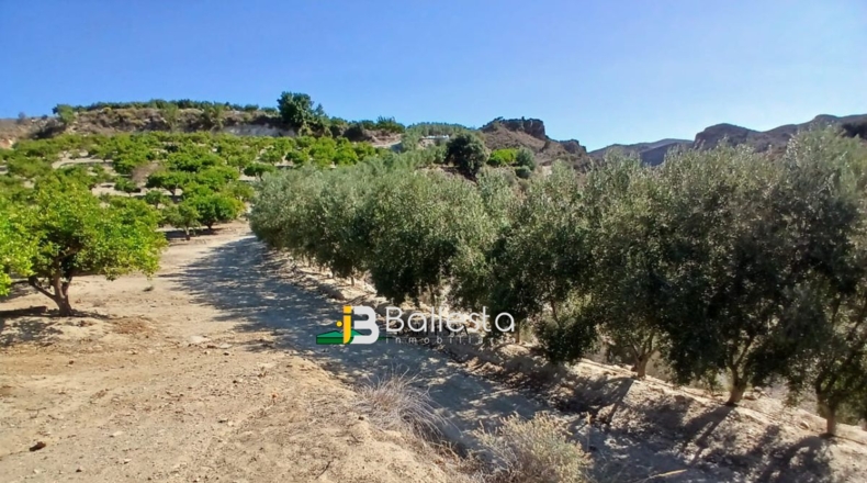 Almería - Lubrín - 50000m2