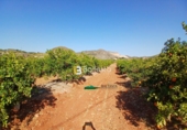 Terreny no urbanitzable en venda a la España, Lubrín, ref.: TR252723 foto