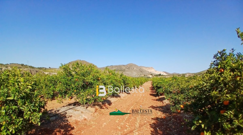 Almería - Lubrín - 50000m2