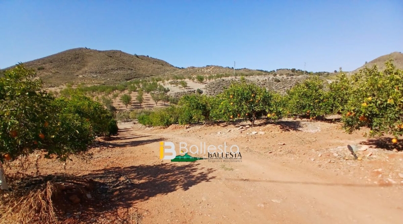 Almería - Lubrín - 50000m2