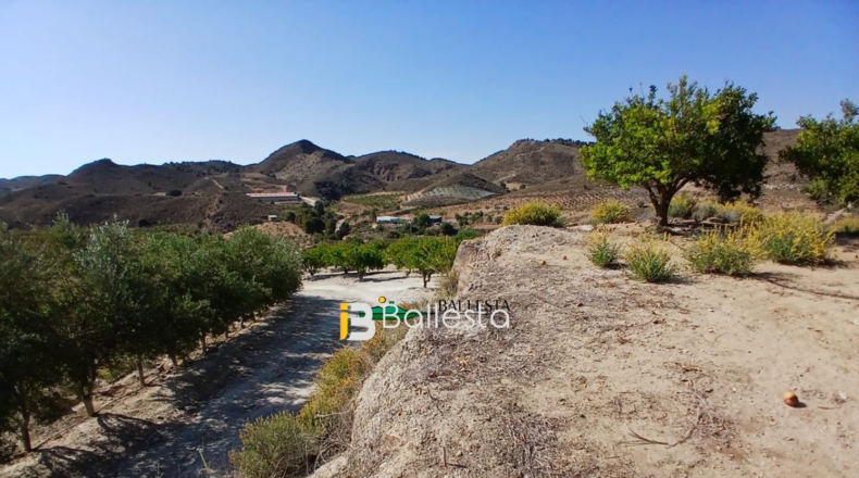 Almería - Lubrín - 50000m2