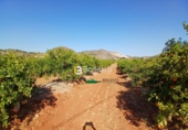 Terreny no urbanitzable en venda a la España, Lubrín, ref.: TR252723 foto