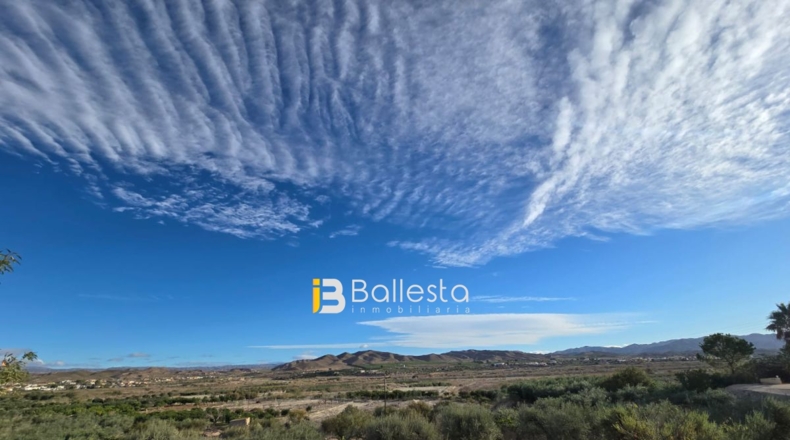 Almería - El Palacés - 610m2