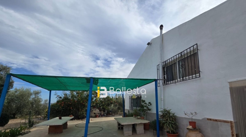 Almería - Huércal-Overa - 10000m2